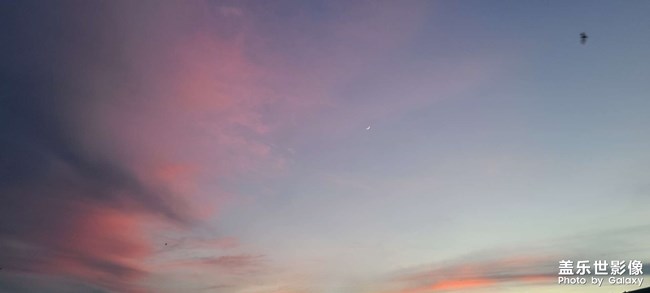 喝了二兩桃花釀