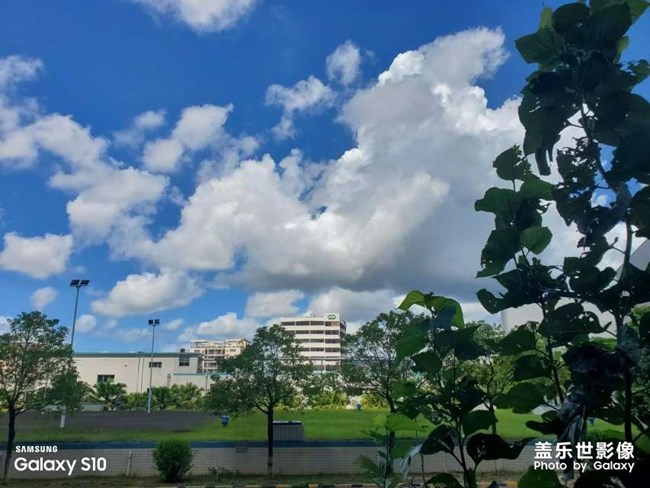 本著疫情不跨區(qū)的原則