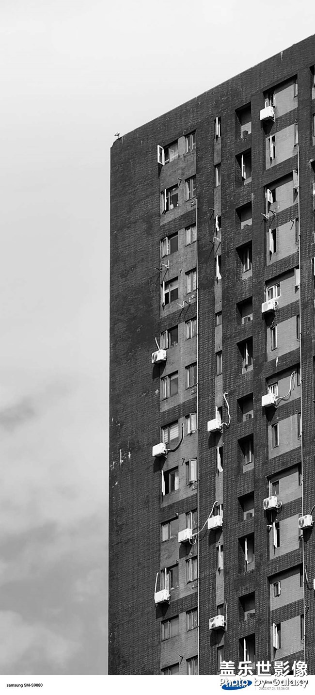 夏日里的黒與白…………