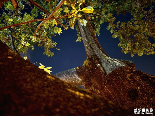 成都的凌晨四點