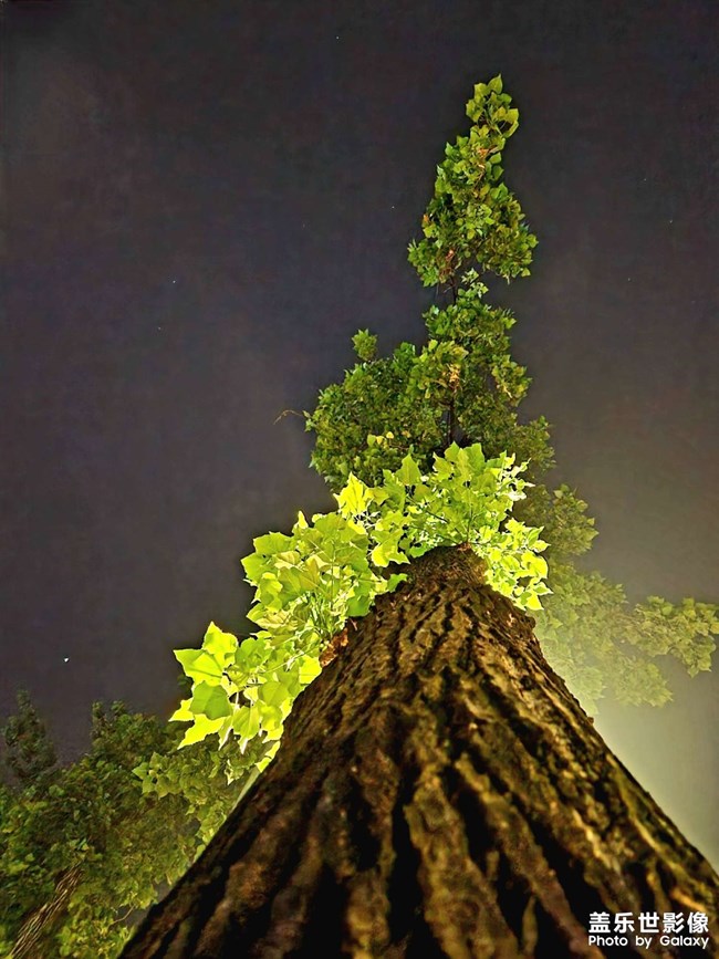 成都的凌晨四點