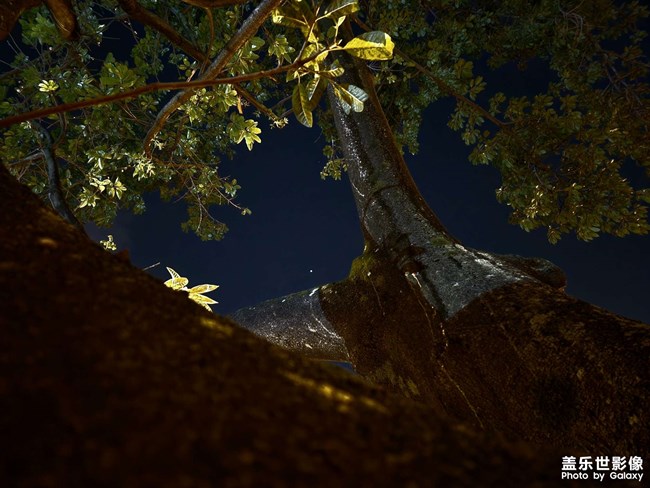 成都的凌晨四點