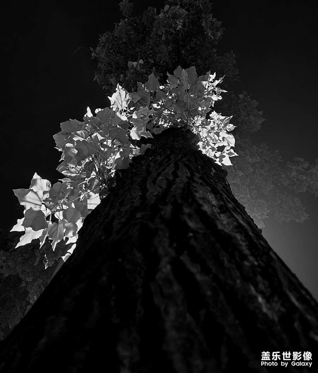 成都的凌晨四點