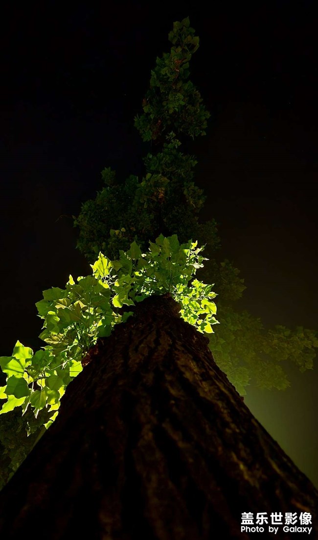 成都的凌晨四點