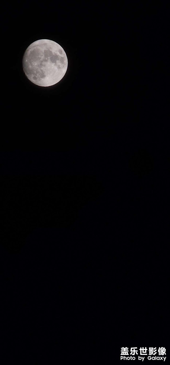 天若有情天亦老?月如無恨月長圓