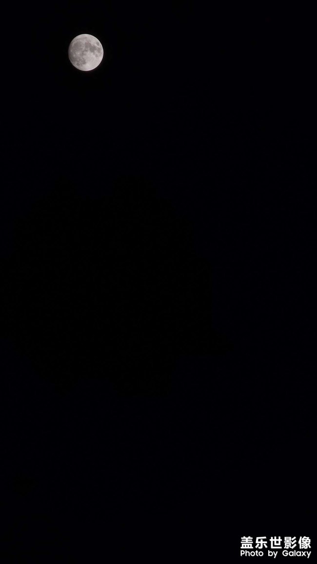 天若有情天亦老?月如無恨月長圓