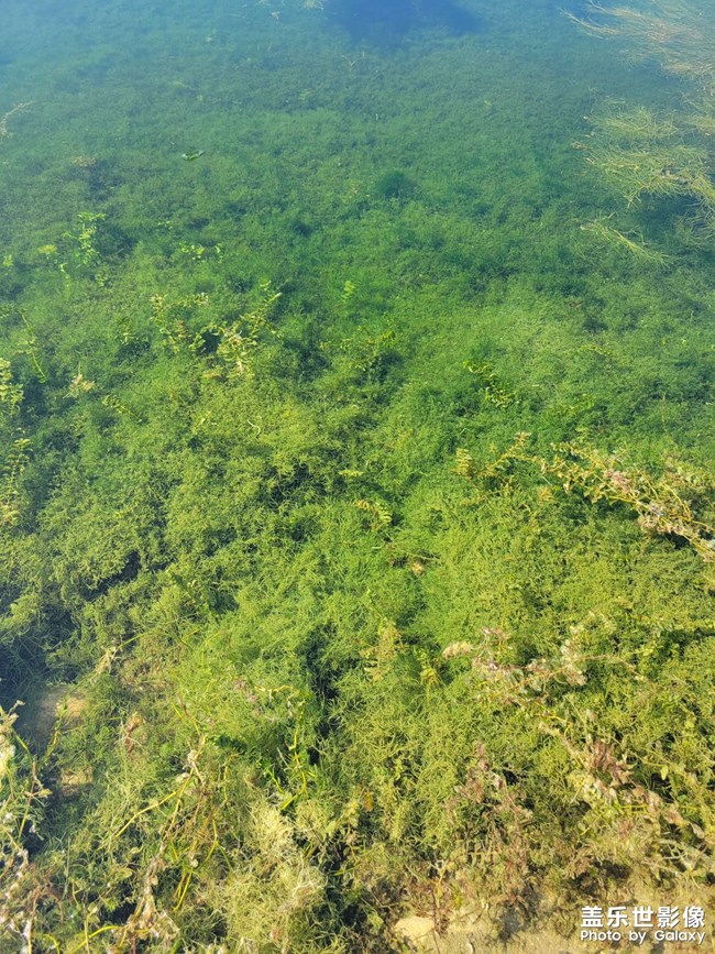 當(dāng)你看到這個照片的時候，說明還出去轉(zhuǎn)轉(zhuǎn)了