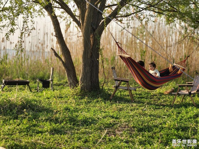 陪伴是最長情的告白