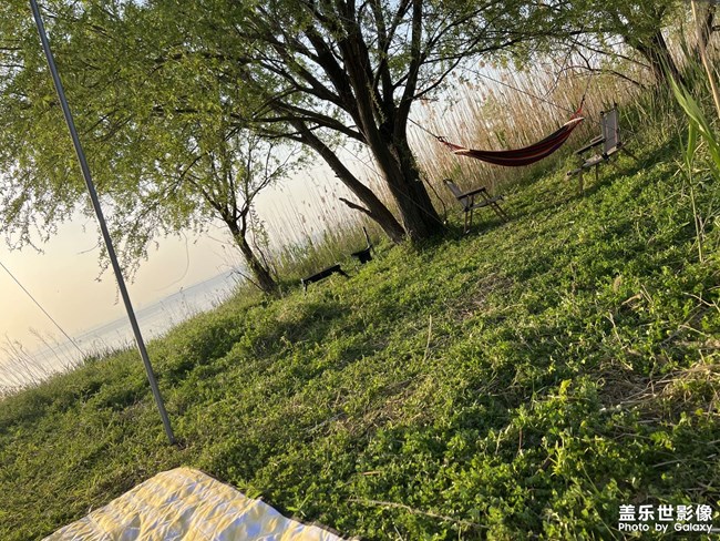 陪伴是最長情的告白