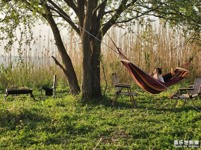 陪伴是最長情的告白