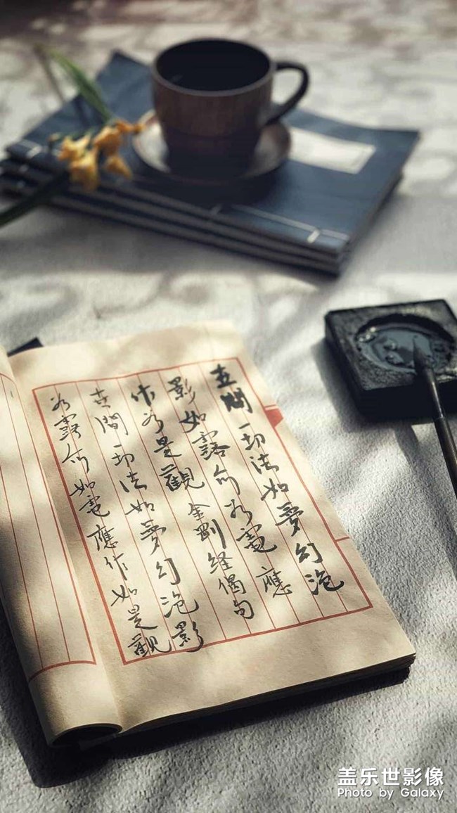 每日分享