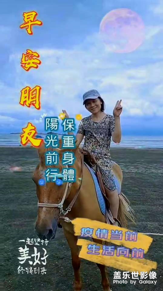 陽(yáng)光問候