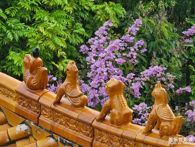 希望能走出分手的陰霾