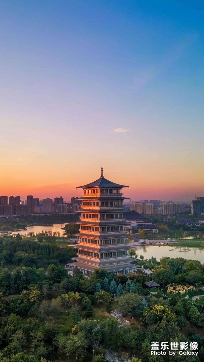 每日分享