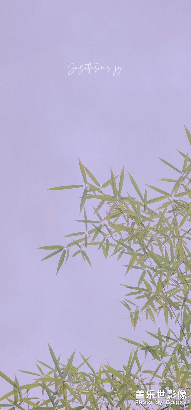 重慶終于降溫 可以外出盡情拍照