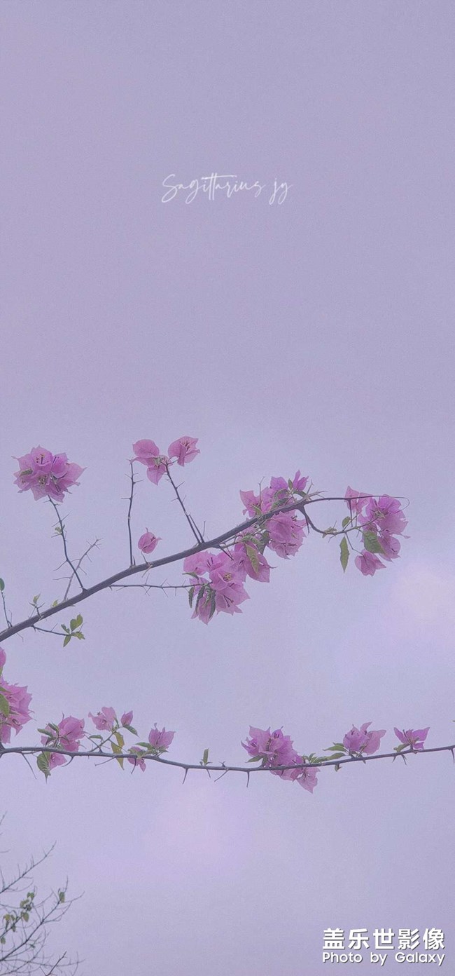 重慶終于降溫 可以外出盡情拍照