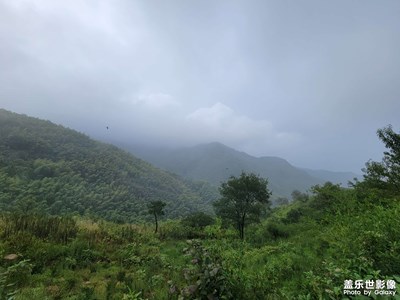 【場景小拍】+太樸山的霧