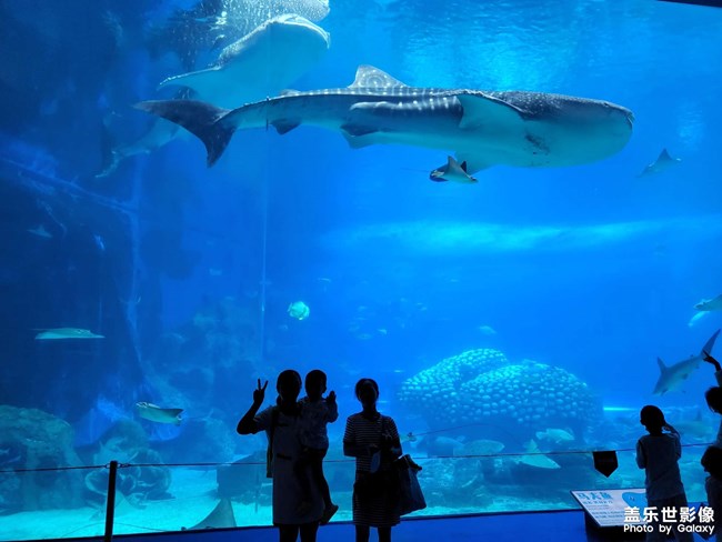 長(zhǎng)隆游玩