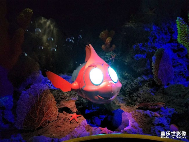 長(zhǎng)隆游玩