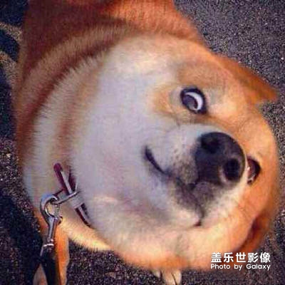 頭像