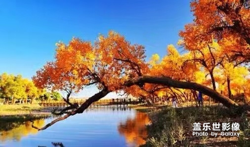 秋風(fēng)。。。