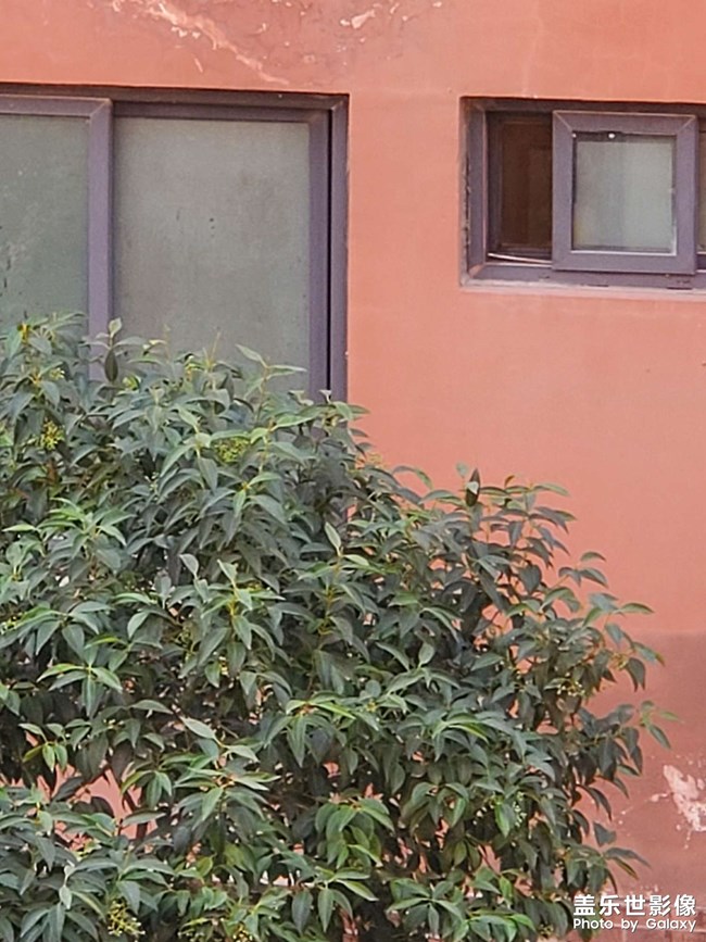 為啥a53十倍變焦拍照還沒s10清楚