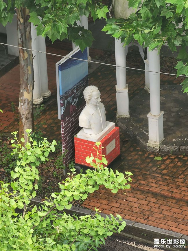隨手拍
