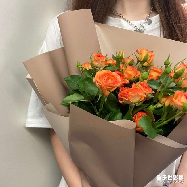 這些圖都是我喜歡的可以用作頭像的圖片