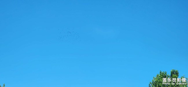 瓦藍藍的天空 飛老楞