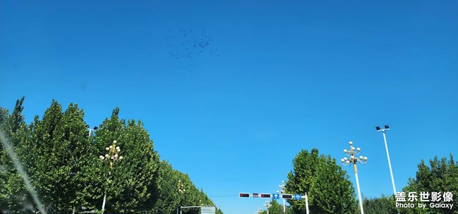 瓦藍藍的天空 飛老楞