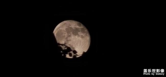 今晚的月亮有點美