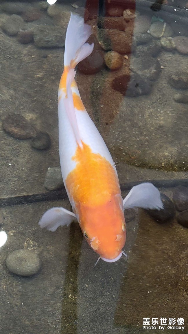 世間萬物皆有因果