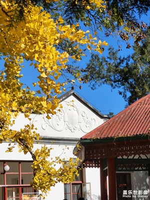 【好風(fēng)光】+秋日好風(fēng)光