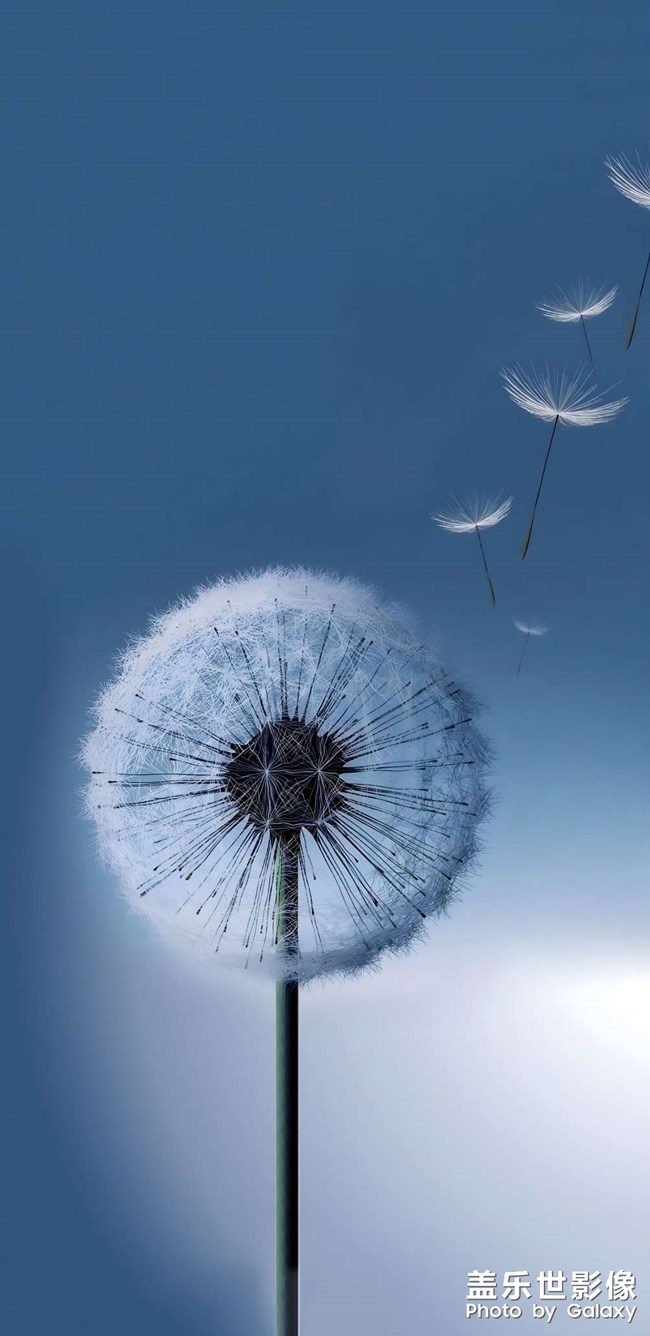 經(jīng)典壁紙兩張