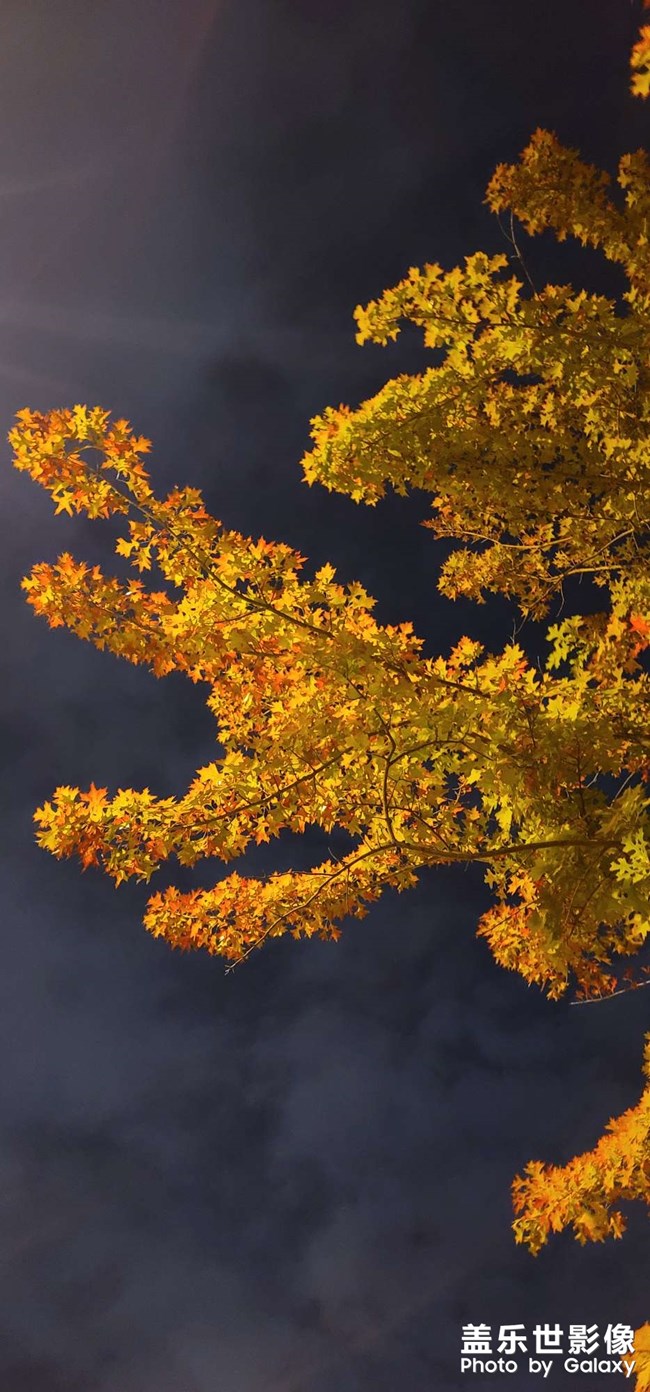 現(xiàn)在相機(jī)進(jìn)入無法聚焦，需要重進(jìn)兩三次才行，無語