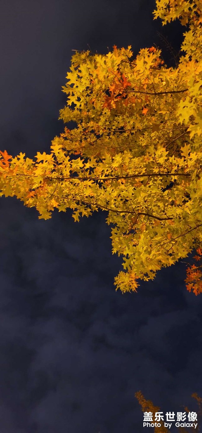 現(xiàn)在相機(jī)進(jìn)入無法聚焦，需要重進(jìn)兩三次才行，無語