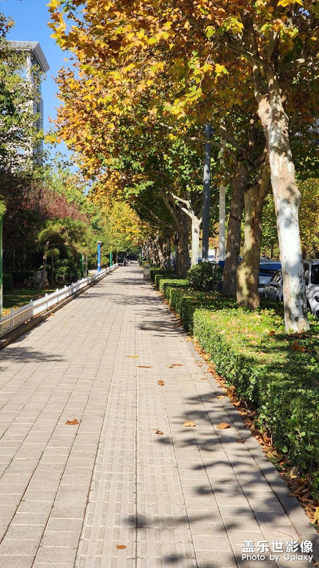 天氣超好，繼續(xù)喂喵~