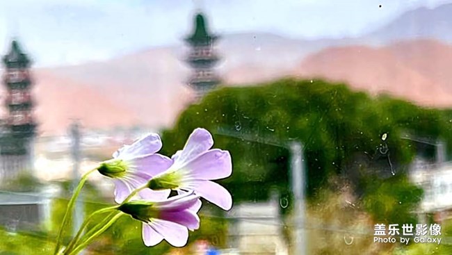  愜意時(shí)光