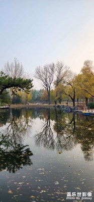 【初冬的景象】＋那些秋天的記憶