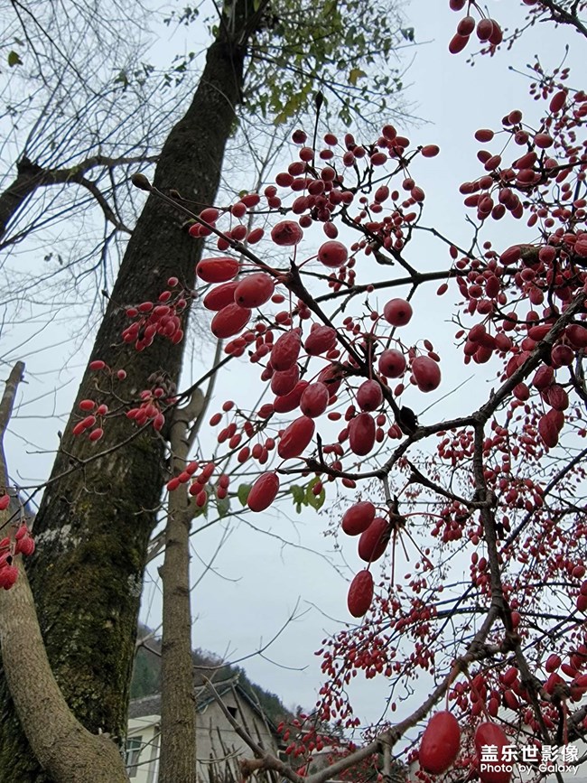 水貼，不要點(diǎn)