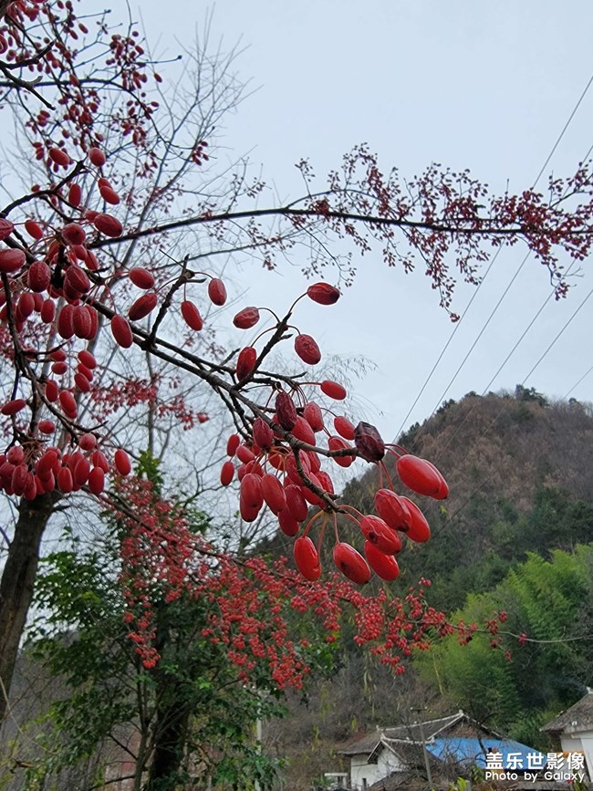 水貼，不要點(diǎn)