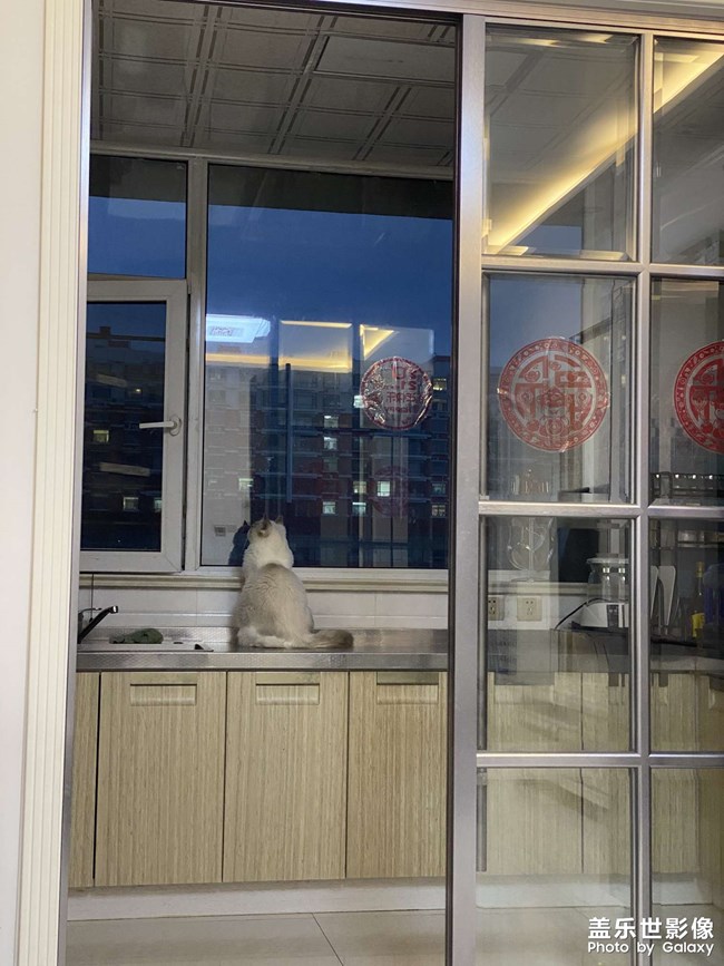 始于心甘情愿，終于愿賭服