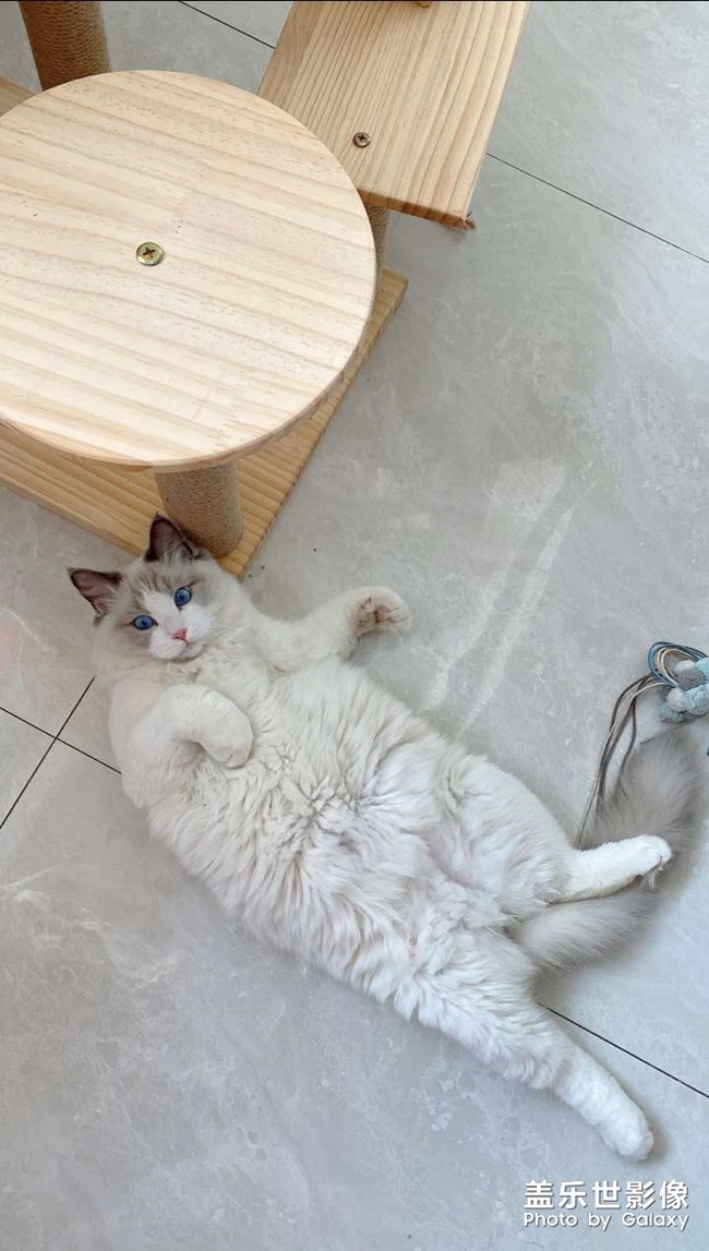 始于心甘情愿，終于愿賭服