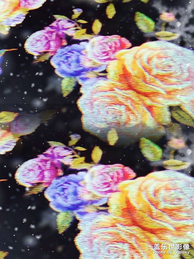 猜猜這是拍的啥猜猜這是拍的啥