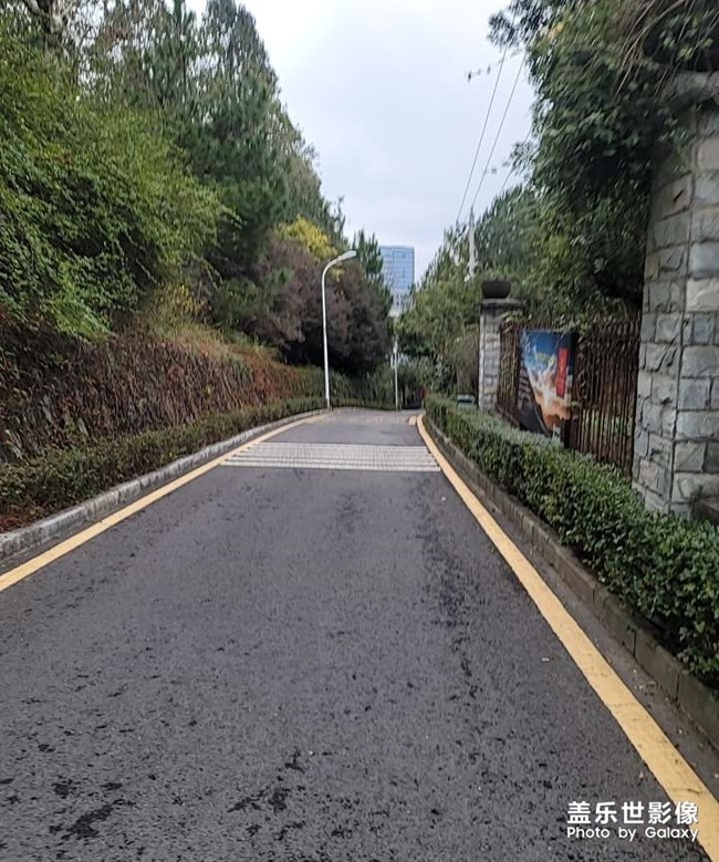 羊了的來報個名