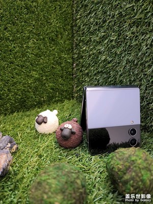 【難忘2022】+我的2022