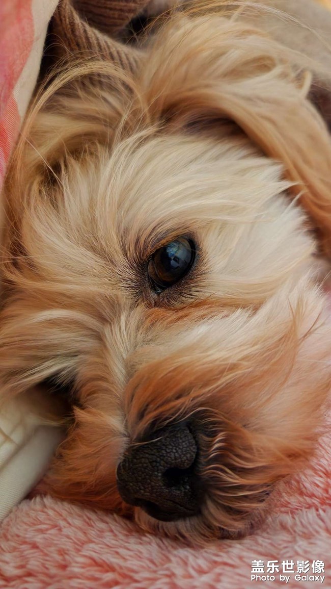 點(diǎn)點(diǎn)