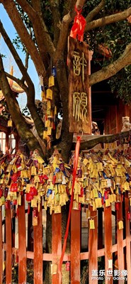 崇文尚德，萬世師表，星耀拍攝！