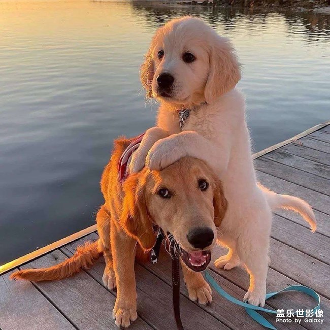 怎么才能發(fā)視頻啊