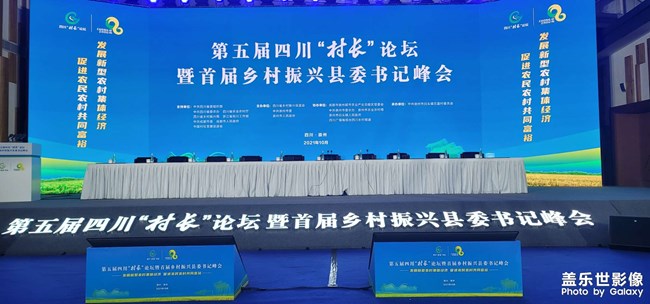 邊牧可愛(ài)的邊牧 很不錯(cuò)